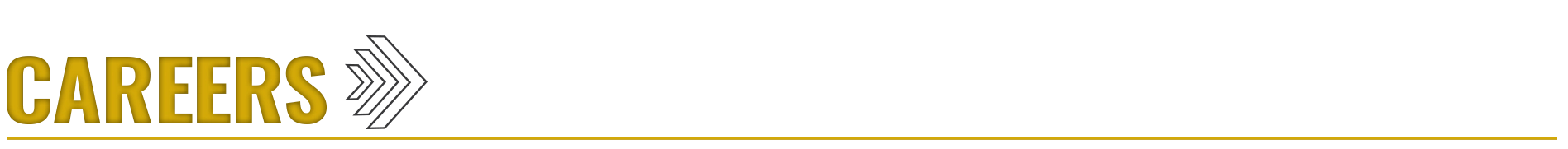 Careers Banner