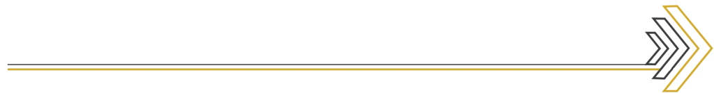 Gold horizontal divider with a right-pointing arrow at the end, used as a decorative progress/section separator.